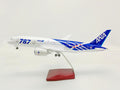 ANA Airways Boeing 787 1:145 Scale Model